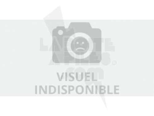 VALISE ADAPTATEUR R14-R20+CHARGEUR+ACCUS