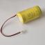 PILE LITHIUM 3.6V POUR ANALYSEUR DE PISCINE ET SPA FLIPR ANALYSR_xs_2