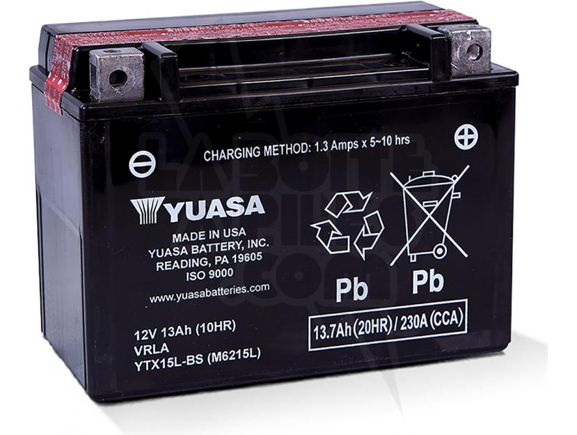 BATTERIE 12V 13AH - 230A img.jpg