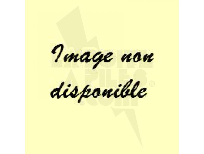 BATTERIE SUPPLEMENTAIRE DELTA PRO ULTRA img.jpg