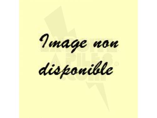 PACK 6V-1.8AH NIMH + CONNECTEUR BP21